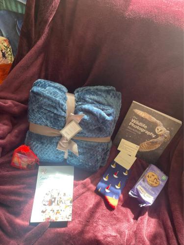 218c8c6e-a4eb-4ed6-b27f-2e4ae1981bd9